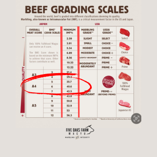 Ribeye Grilling Bundle
