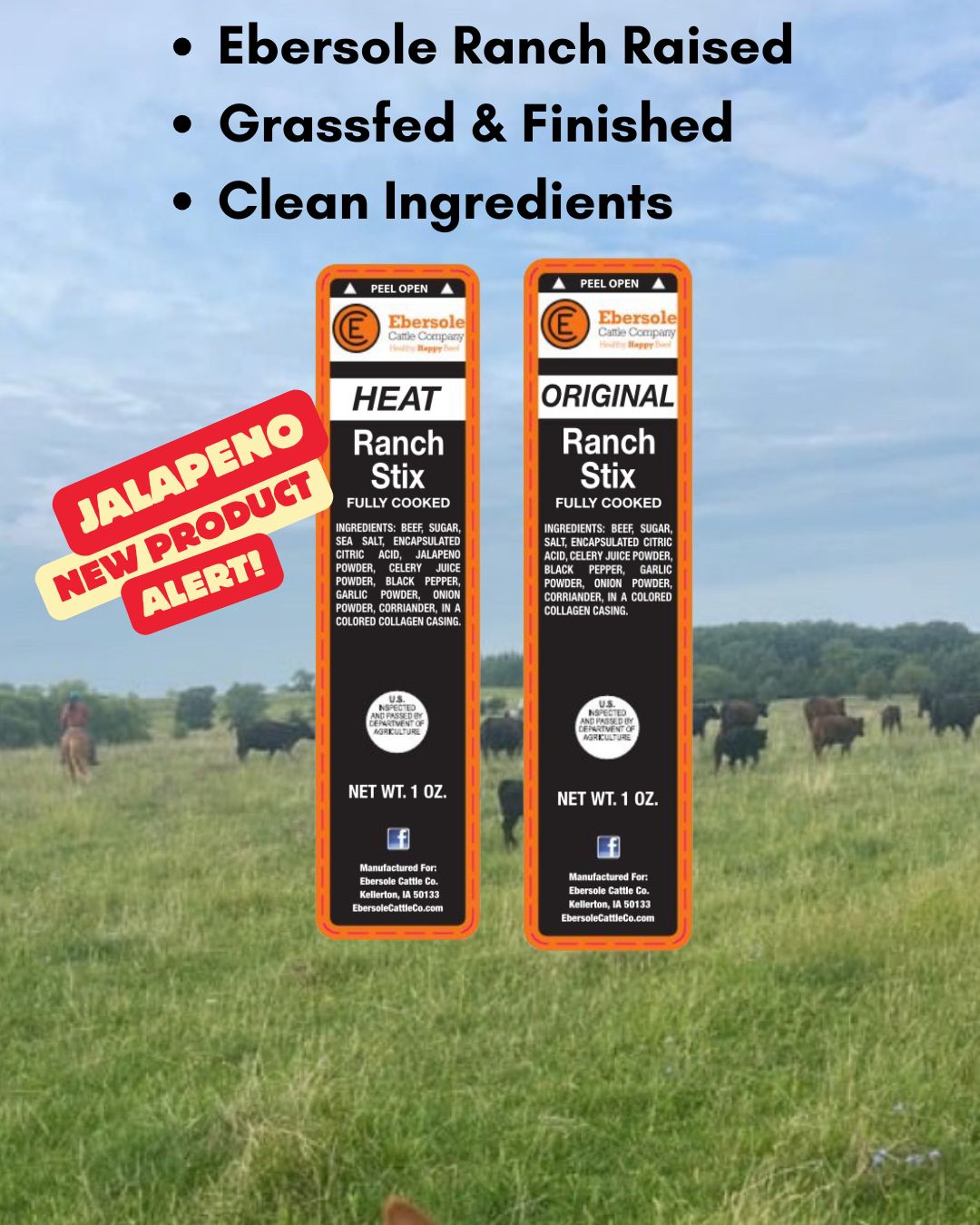 Grassfed Beef Stick Bundle
