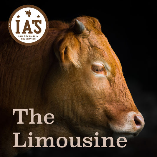 The Limousine (Sponsorship)